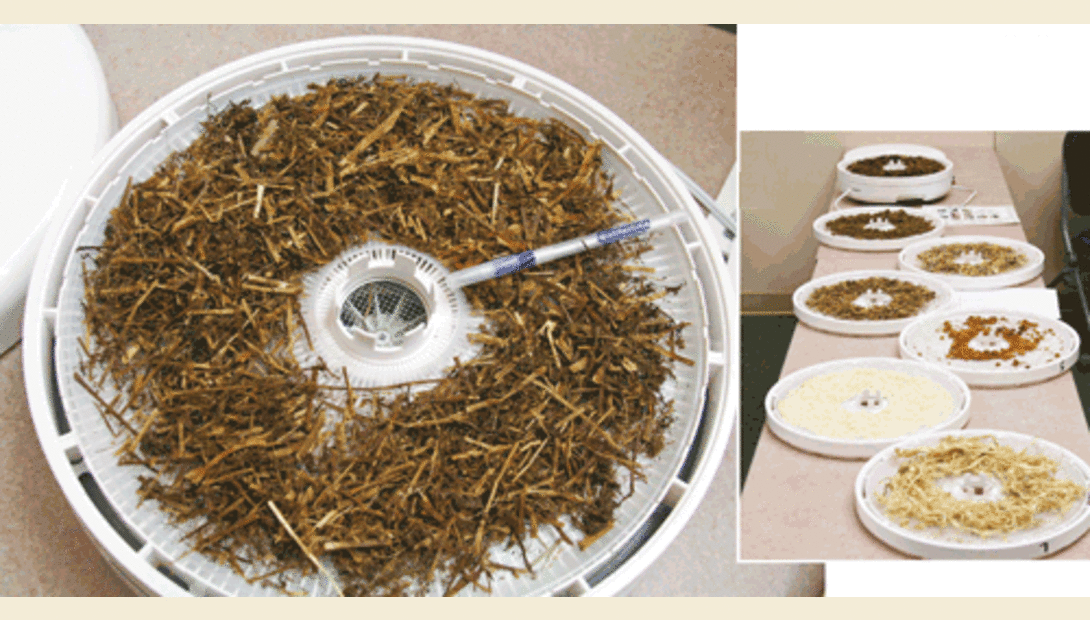 Dry Matter Determination