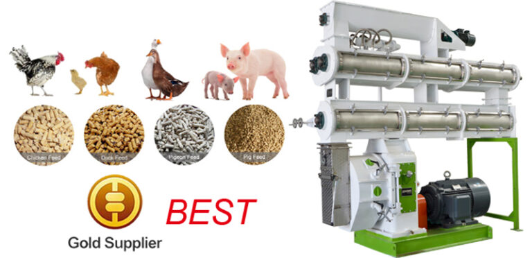 Steps for better feed formulation of rumminants