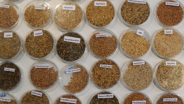Feed Samples Preparation and Handling for Laboratory Analysis