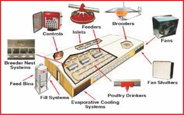 World’s Most Innovative Advanced Technologies in Poultry Nutrition