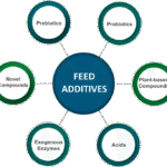 Role of Feed Additives in Layer Feeds