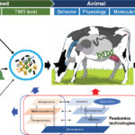 The Science of Dairy Animal Nutrition: Strategic Feeding for Optimized Milk Yield and Herd Health
