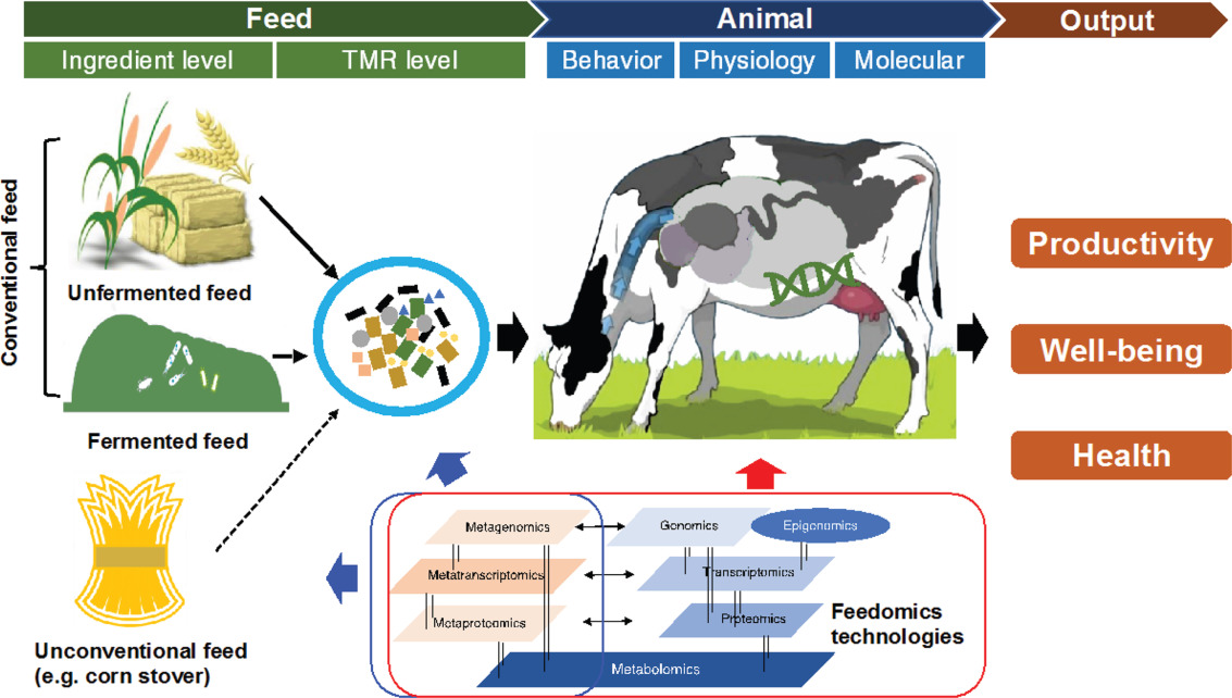The Science of Dairy Animal Nutrition: Strategic Feeding for Optimized Milk Yield and Herd Health